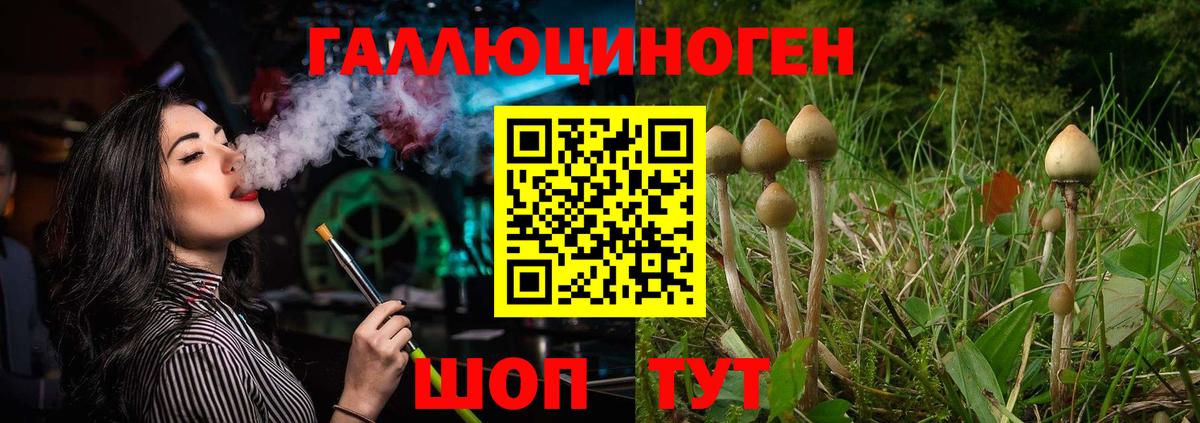 Галлюциногенные грибы Magic Shrooms Мурманск