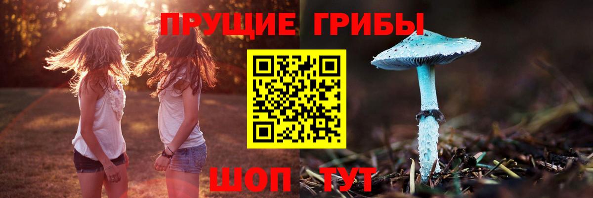 Псилоцибиновые грибы Cubensis  Галлюциногенные грибы Psilocybe  Вход с VPN  Мурманск 